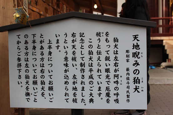 b0107691_6502897.jpg