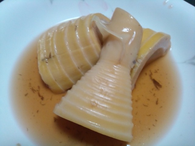 冷凍たけのこ_a0045193_17333271.jpg