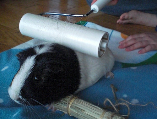 c0241498_23421990.jpg