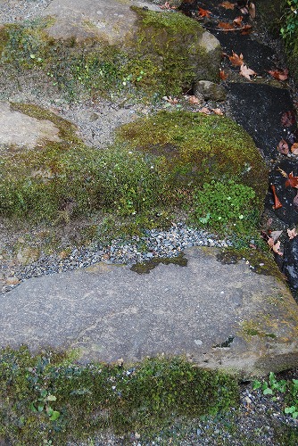c0124100_1133796.jpg