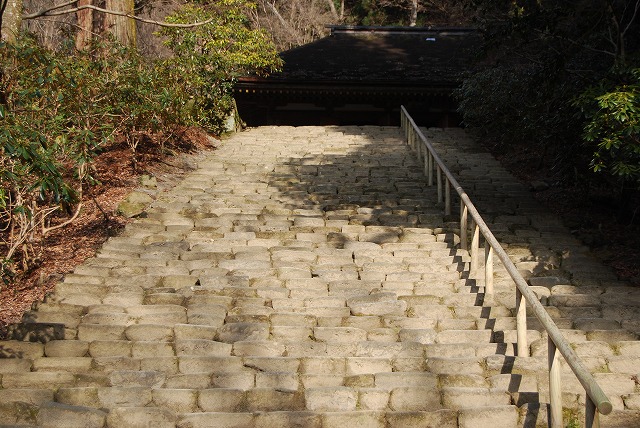 c0124100_1135179.jpg