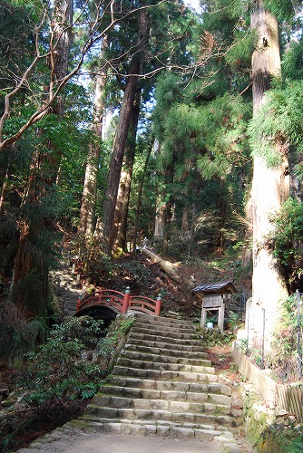 c0124100_1173215.jpg