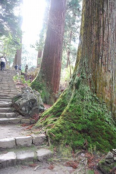 c0124100_117495.jpg