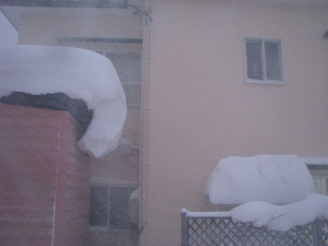 ◆ また雪ネタですが・・・ ◆_c0078202_17365344.jpg