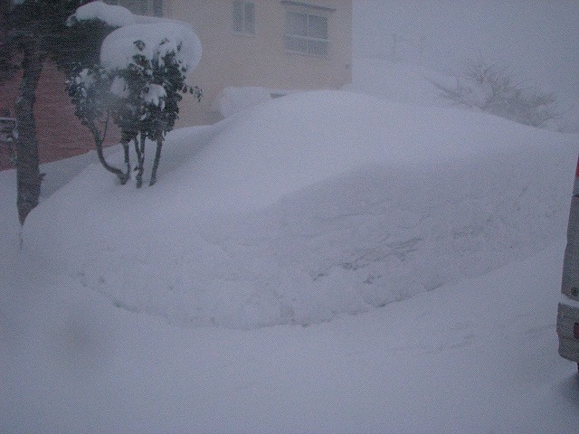 ◆ また雪ネタですが・・・ ◆_c0078202_17375689.jpg