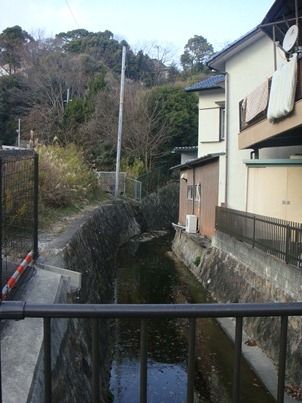 a0167803_145612100.jpg