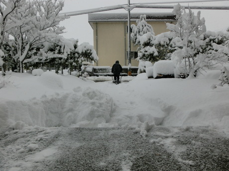 a0203003_21543535.jpg