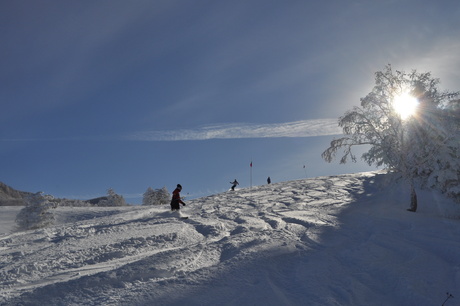 山田牧場のキャットで粉雪を楽しむ_c0242406_811633.jpg