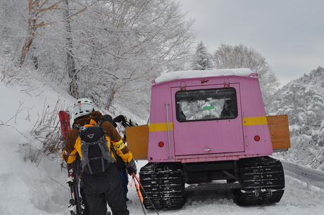 山田牧場のキャットで粉雪を楽しむ_c0242406_8142242.jpg