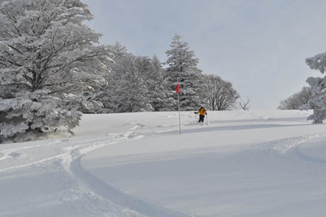 山田牧場のキャットで粉雪を楽しむ_c0242406_8203960.jpg