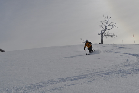 山田牧場のキャットで粉雪を楽しむ_c0242406_821115.jpg