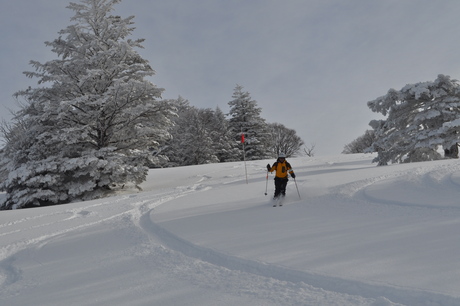 山田牧場のキャットで粉雪を楽しむ_c0242406_8212566.jpg