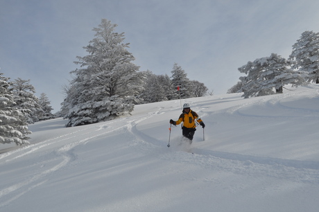 山田牧場のキャットで粉雪を楽しむ_c0242406_8215057.jpg
