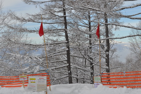 山田牧場のキャットで粉雪を楽しむ_c0242406_824898.jpg
