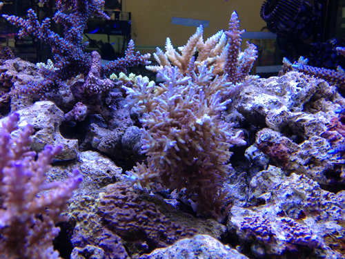 b0240608_0241574.jpg