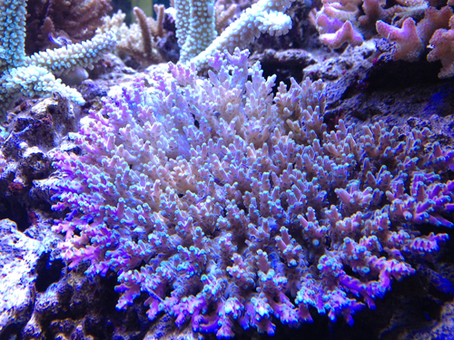 b0240608_0251130.jpg