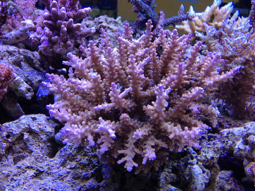 b0240608_025330.jpg