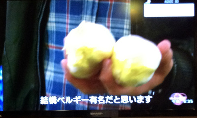 クローズアップ現代_d0063218_1038675.jpg