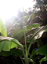リフレッシュ_a0043520_2255981.jpg