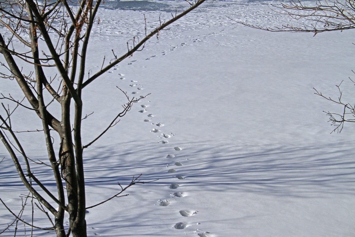 c0104227_22144629.jpg