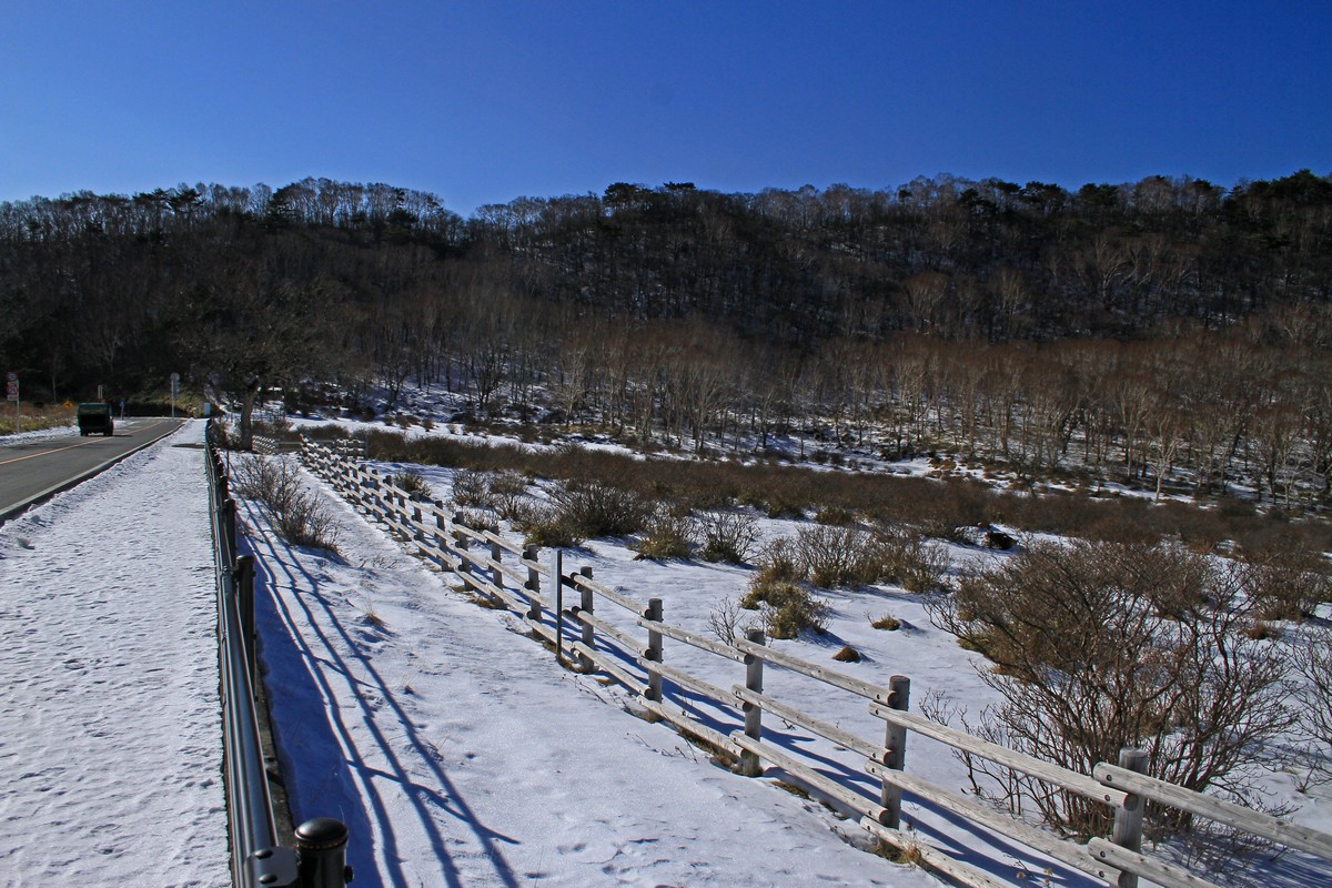 c0104227_2265362.jpg