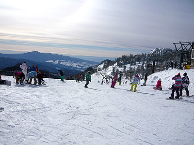 d0087129_0323038.jpg