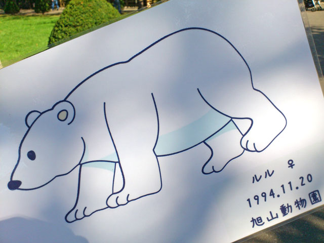 円山動物園 ホッキョクグマ記録46 ルルさんイラスト せいかつにっき
