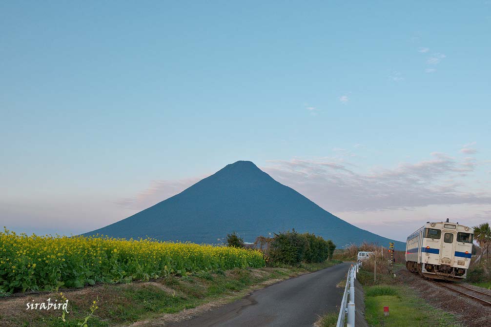 d0238245_2314529.jpg