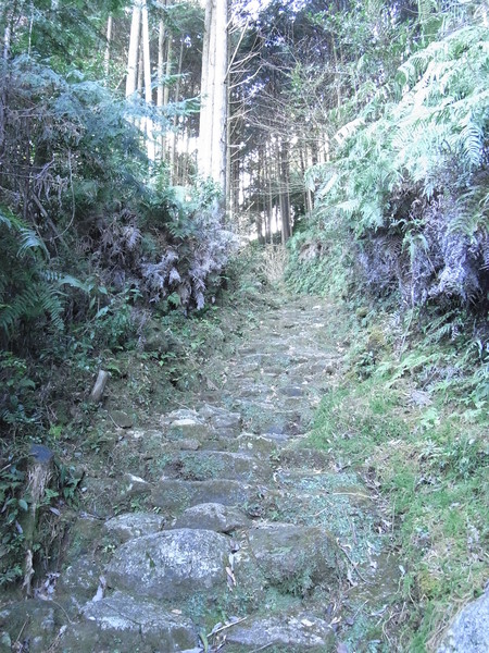 熊野古道_e0189446_1945410.jpg