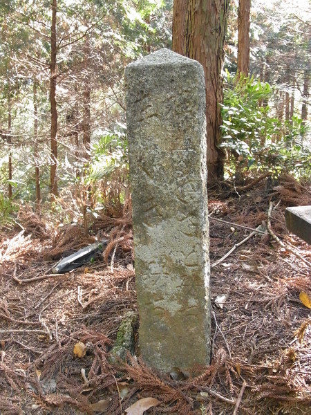 熊野古道_e0189446_22202982.jpg