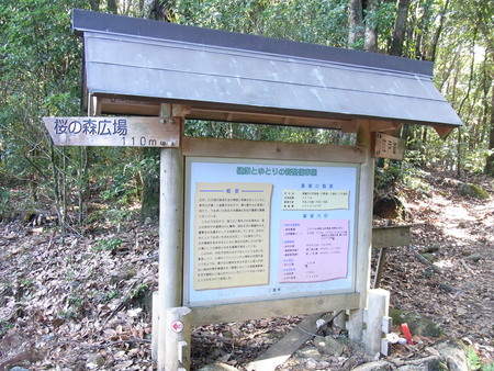 熊野古道_e0189446_2247127.jpg
