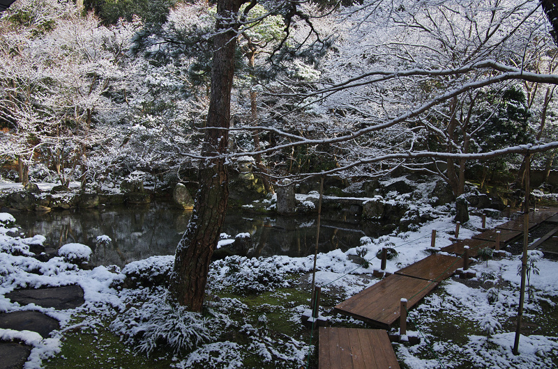 雪景の蓮華寺にて_f0155048_23332750.jpg
