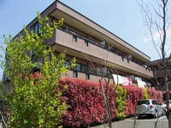 d0204154_19592388.jpg