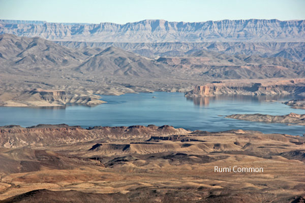 e0136254_1113989.jpg