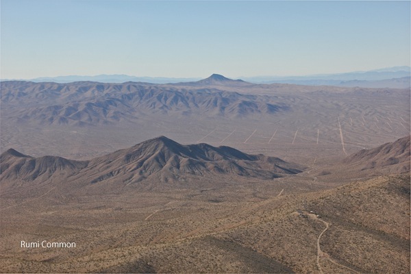 e0136254_118844.jpg