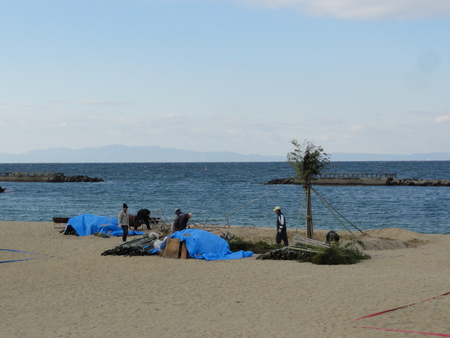 「２０１３新春里海まつり」のとんど準備　in  せんなん里海公園_c0108460_1820544.jpg