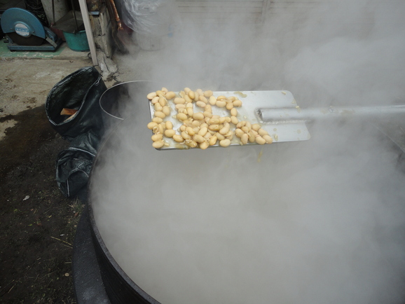 去年の暮れの味噌造り_a0118461_21261946.jpg
