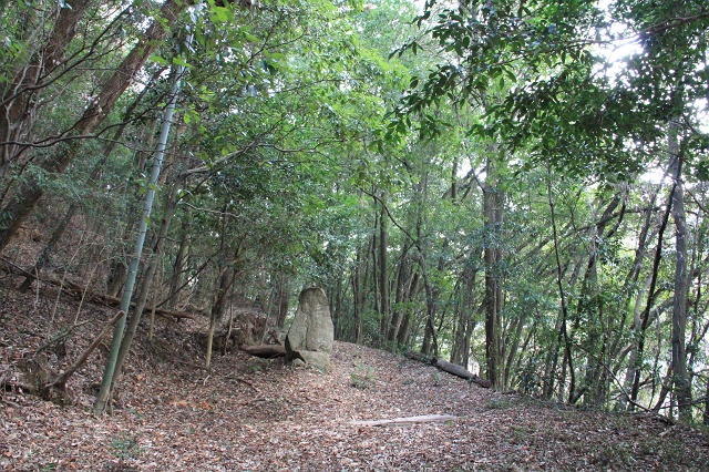 復活した矢野峠古道・樫木茶屋・幸神社　2013年　その4　矢野方面入口から引き返し、石標へ　_b0095061_12384754.jpg