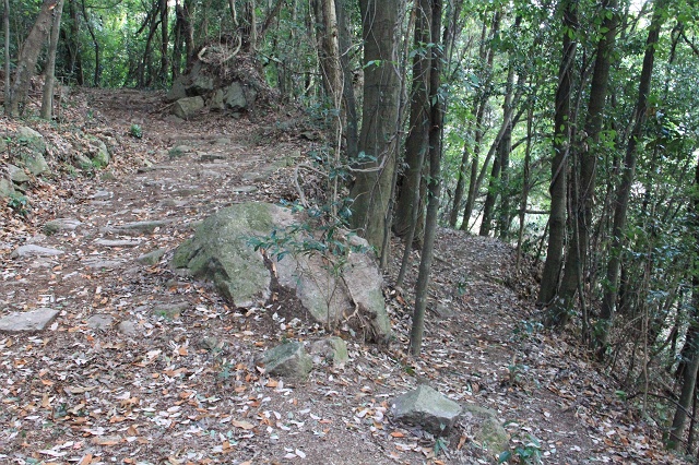 復活した矢野峠古道・樫木茶屋・幸神社　2013年　その5　樫木茶屋石標から出口へ引き返す　_b0095061_12472718.jpg