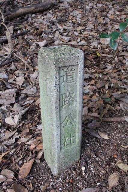 復活した矢野峠古道・樫木茶屋・幸神社　2013年　その5　樫木茶屋石標から出口へ引き返す　_b0095061_12531380.jpg