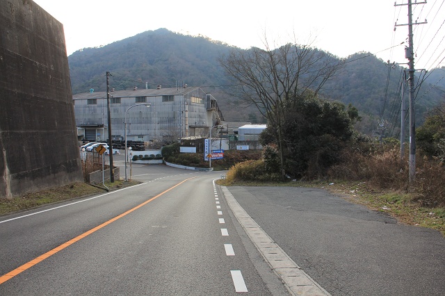 復活した矢野峠古道・樫木茶屋・幸神社　2013年　その5　樫木茶屋石標から出口へ引き返す　_b0095061_12582324.jpg