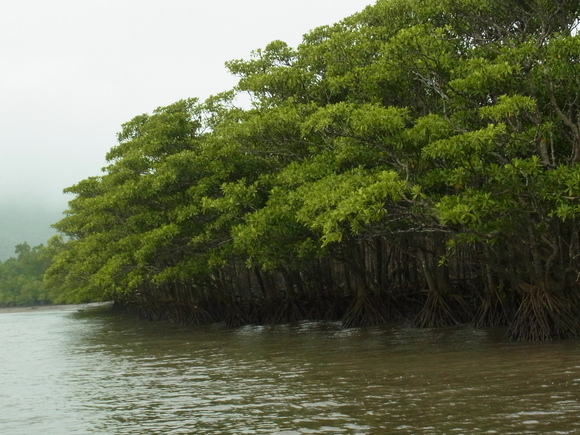 b0194267_15192463.jpg