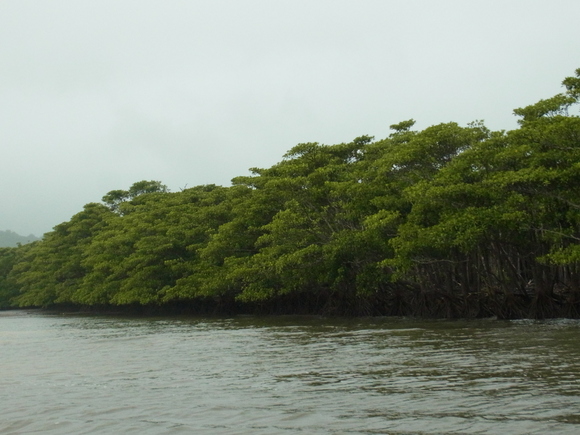 b0194267_154098.jpg