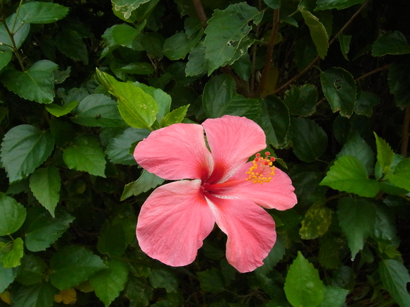 b0194267_16251458.jpg