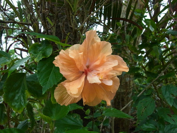 b0194267_16554340.jpg