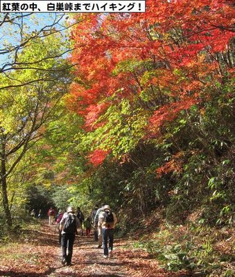 リニアの波及効果と地域特性を活かした地域づくり計画_c0238069_13245497.jpg