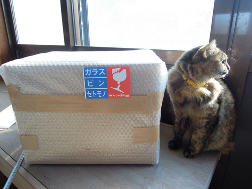 初釣り中止でロクロ作業_d0195183_2019361.jpg