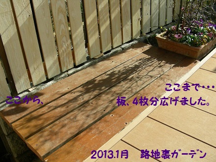 b0096584_1847667.jpg