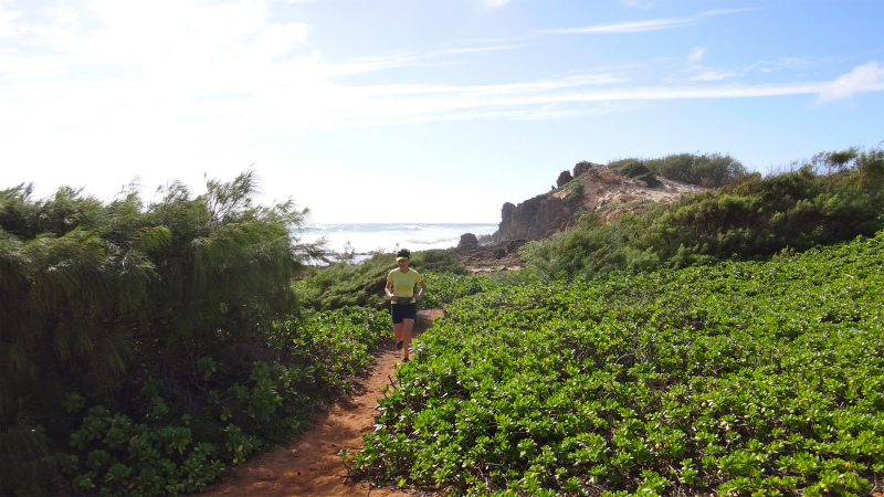 2013/01/08 Kauai island Trail Trip Day.2 Maha Ulepu Coast Trail _b0220886_14395650.jpg