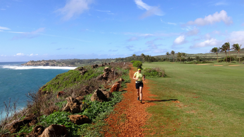 2013/01/08 Kauai island Trail Trip Day.2 Maha Ulepu Coast Trail _b0220886_14423440.jpg